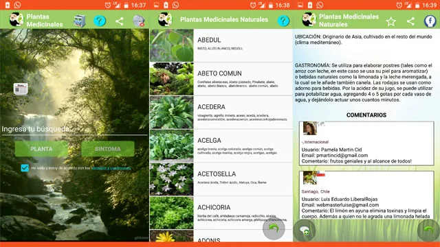 Plantas Medicinales, primera versión, JAVADOH